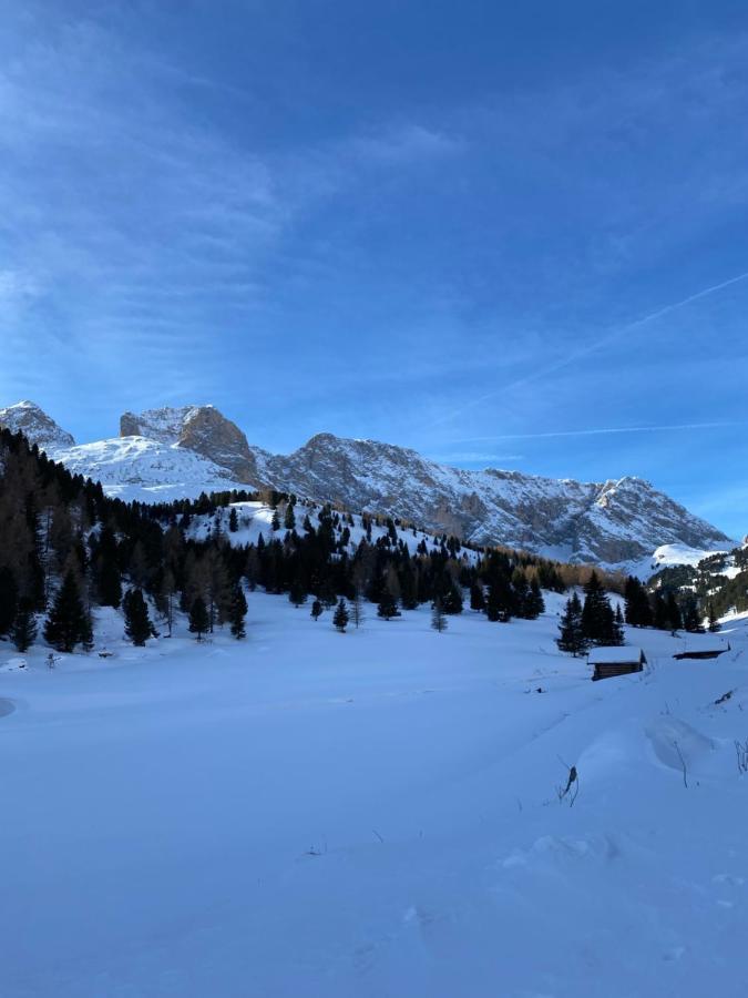 Ferienwohnung Casa Fiemme Panchià Exterior foto